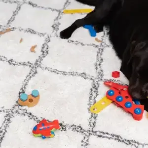 Dog Puzzle for Training