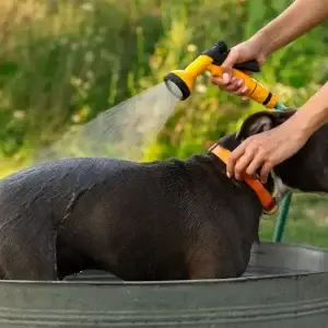 Dog Washer for Bath Time